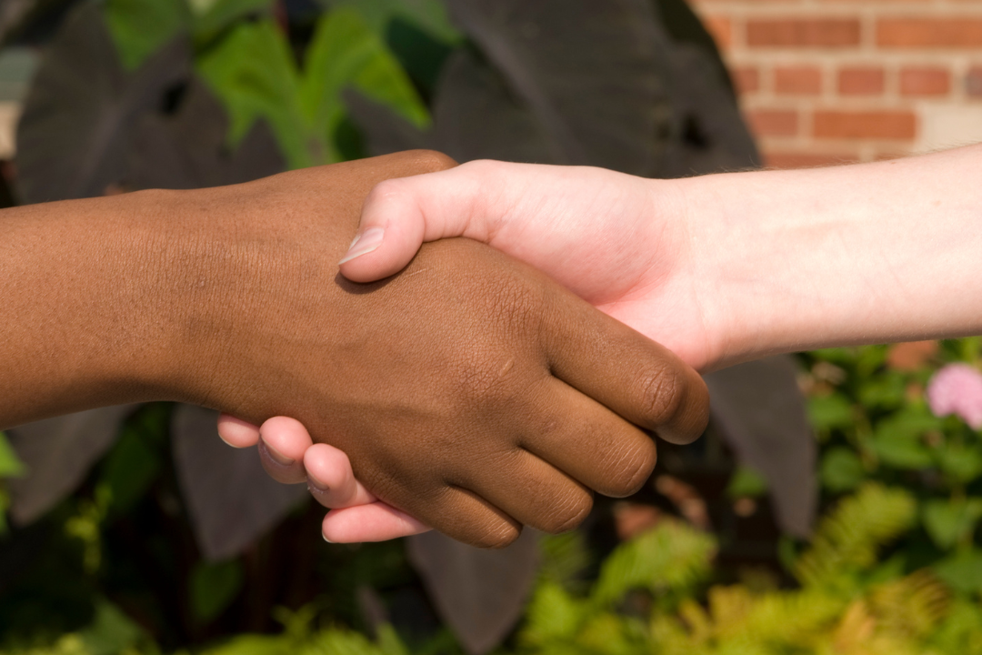 Two individuals from diverse cultural backgrounds shaking hands, symbolizing mutual understanding and collaboration in cross-cultural counselling.