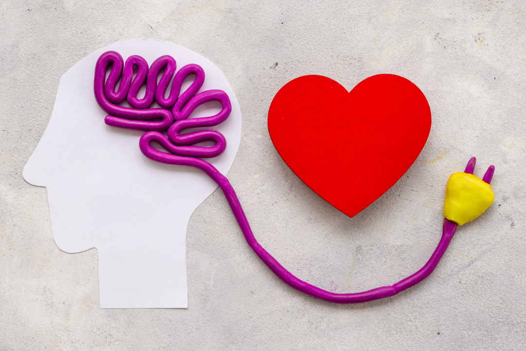 A clay sculpture of a human head with a plug emerging from the brain, symbolizing emotional regulation and mental connection, with a heart placed beside it to represent the link between emotions and cognition.